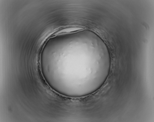 X0000113530194200910091230