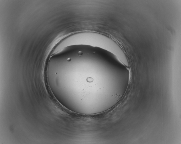 X0000113530195200910091230