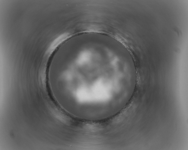 X0000113530199200910091229