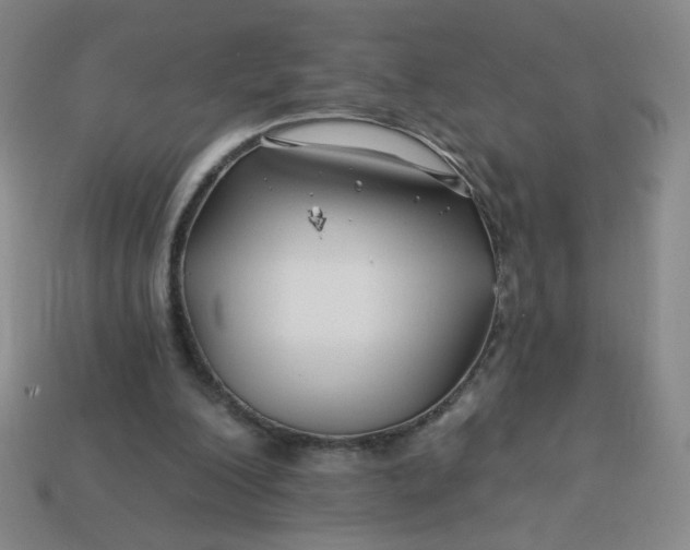 X0000113530200200910091229