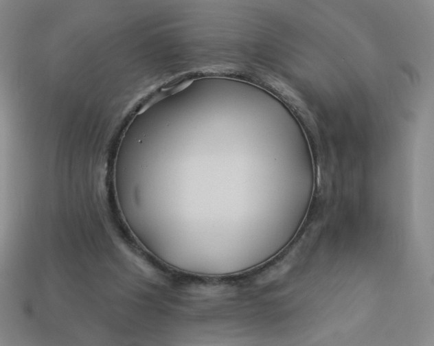 X0000113530201200910091229