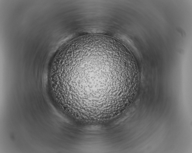 X0000113530202200910091229