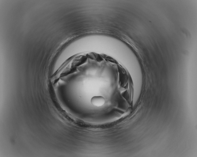 X0000113530203200910091229