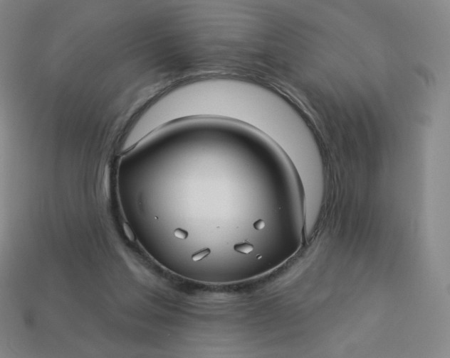 X0000113530205200910091229