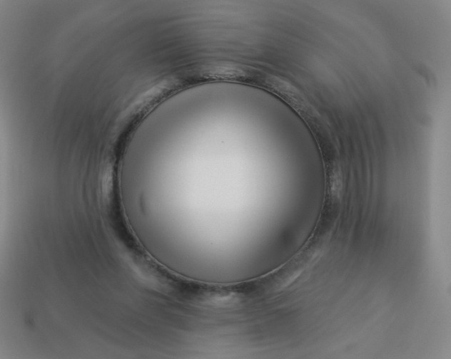 X0000113530206200910091229