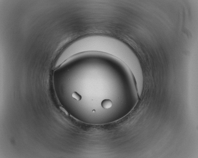 X0000113530207200910091229