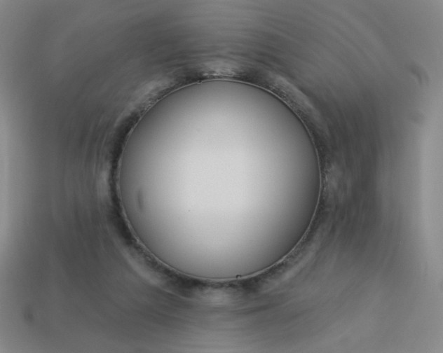 X0000113530209200910091229