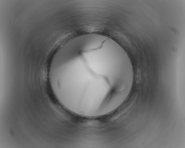 X0000113530210200910091229