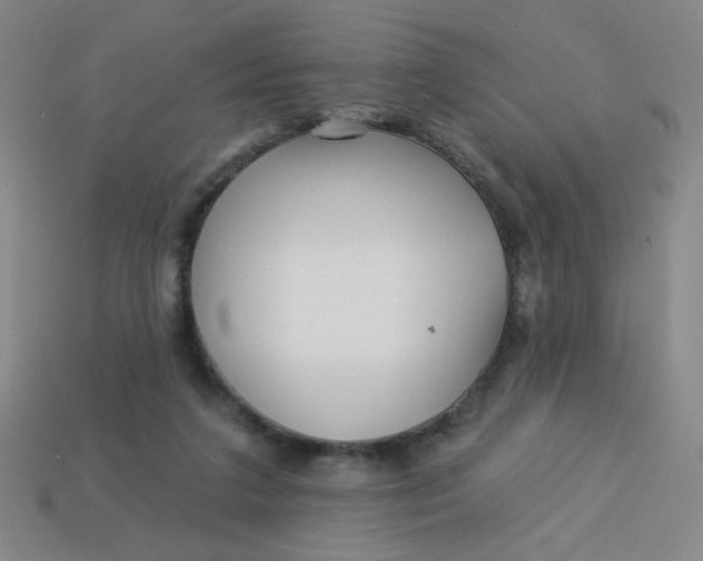 X0000113530211200910091229