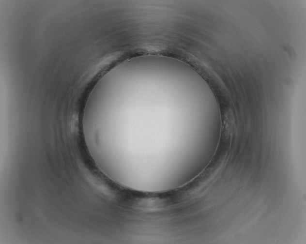 X0000113530212200910091229