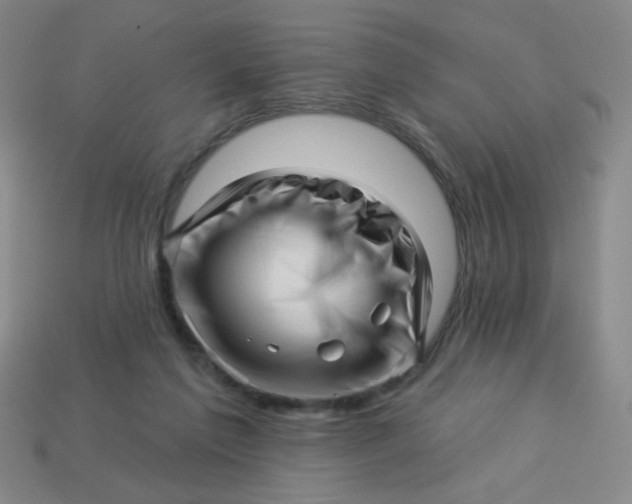 X0000113530213200910091229