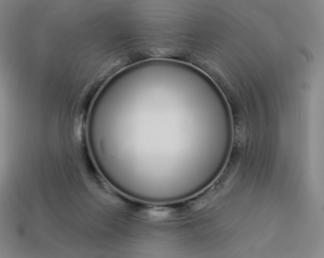 X0000113530214200910091229