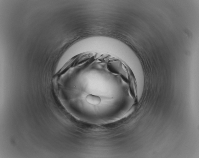 X0000113530215200910091229