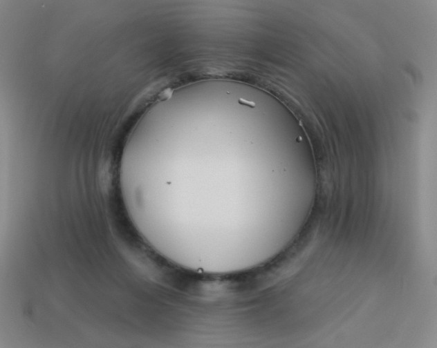 X0000113530216200910091229