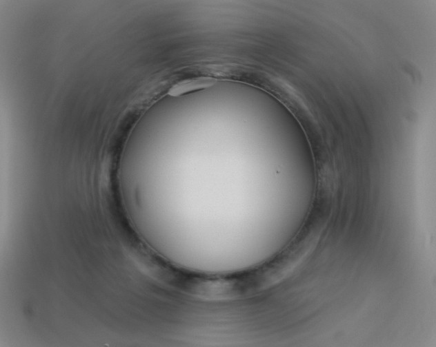 X0000113530217200910091229