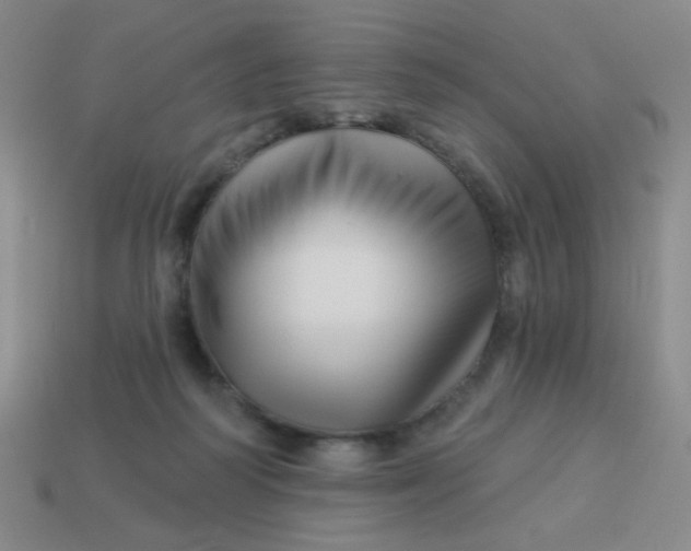 X0000113530218200910091229