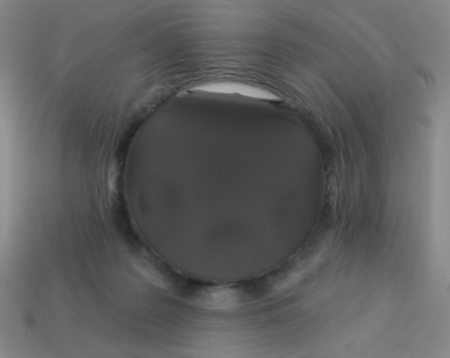 X0000113530219200910091229