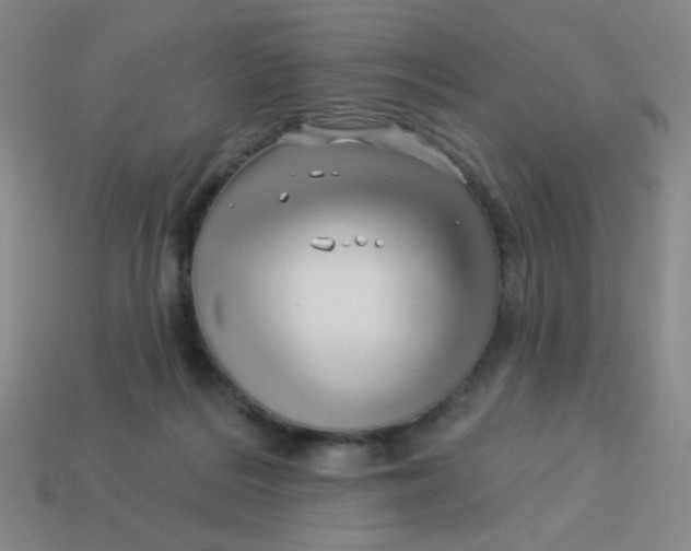 X0000113530220200910091229