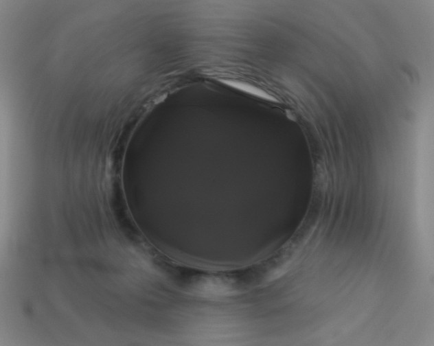 X0000113530223200910091229