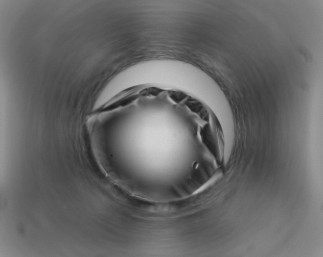 X0000113530225200910091229