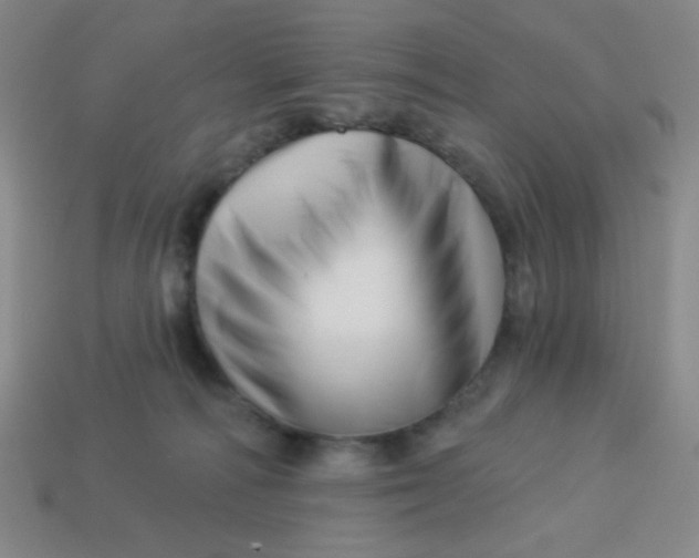 X0000113530226200910091229