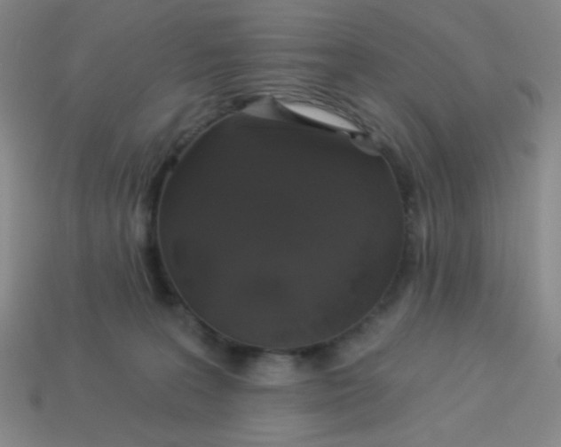 X0000113530227200910091229