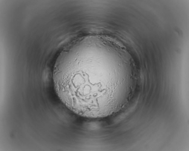 X0000113530228200910091229