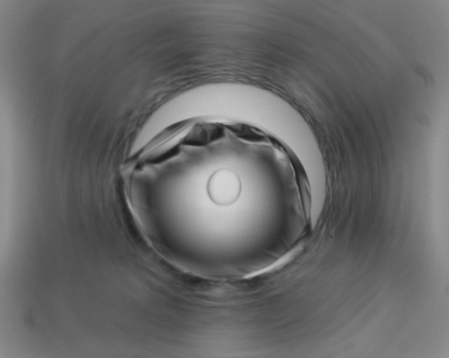 X0000113530229200910091229