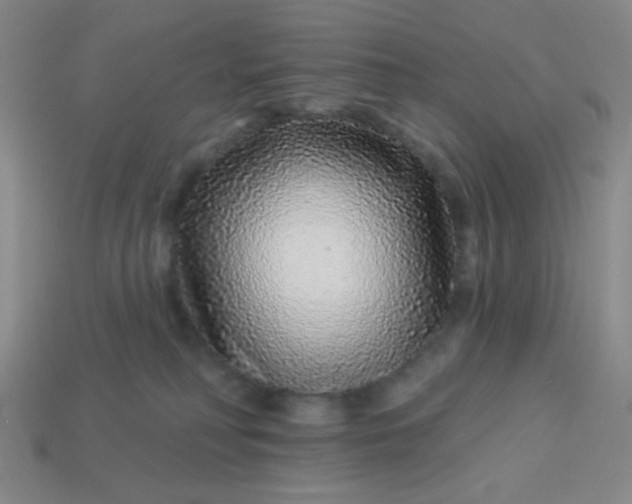 X0000113530230200910091229