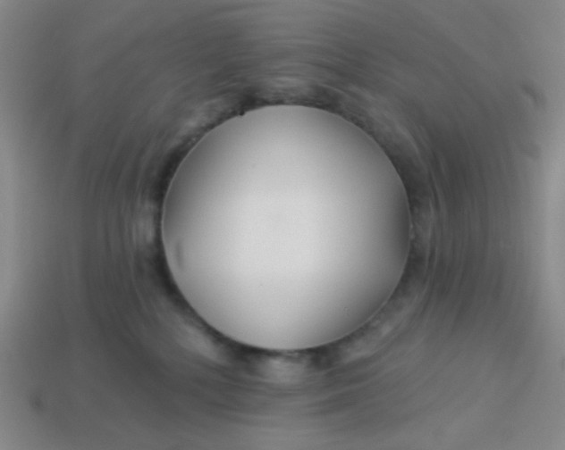 X0000113530232200910091229