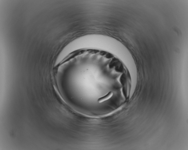 X0000113530233200910091229