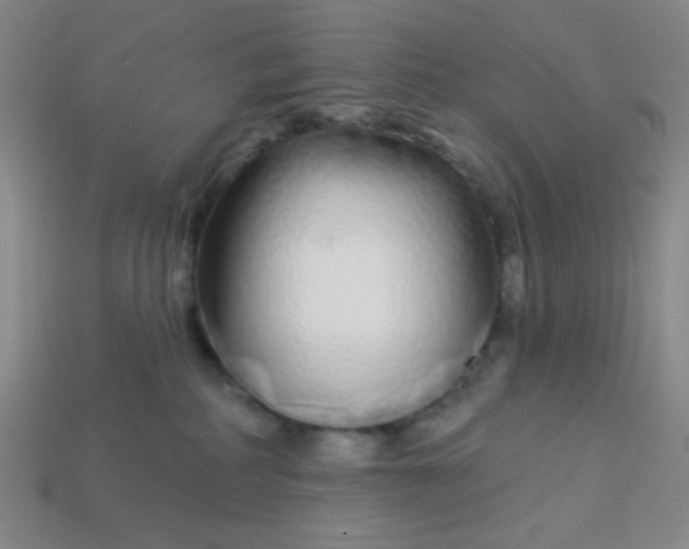 X0000113530234200910091229