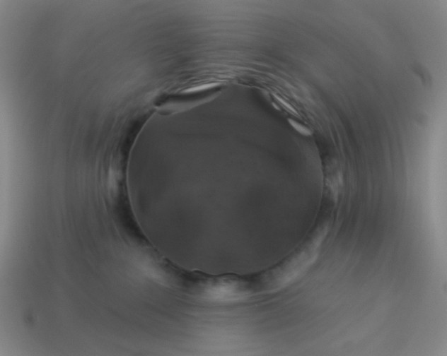 X0000113530235200910091229