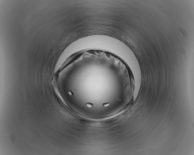 X0000113530237200910091229