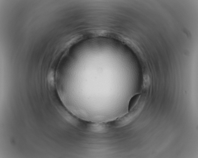 X0000113530238200910091229