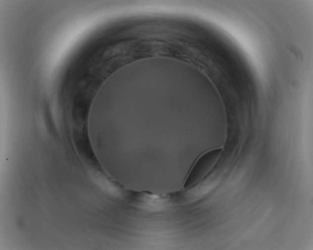 X0000113530239200910091229