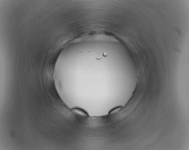 X0000113530240200910091229