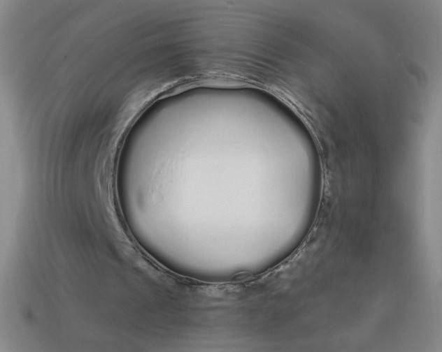 X0000113530241200910091228