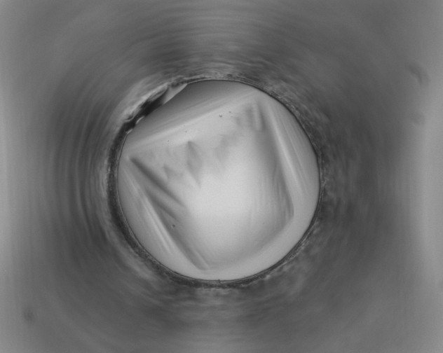 X0000113530242200910091228