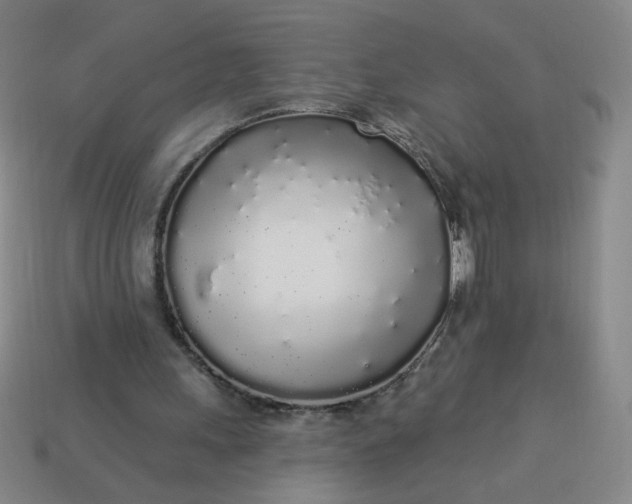 X0000113530243200910091228