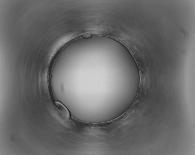 X0000113530244200910091228