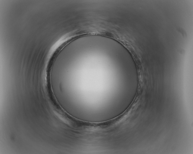 X0000113530246200910091228