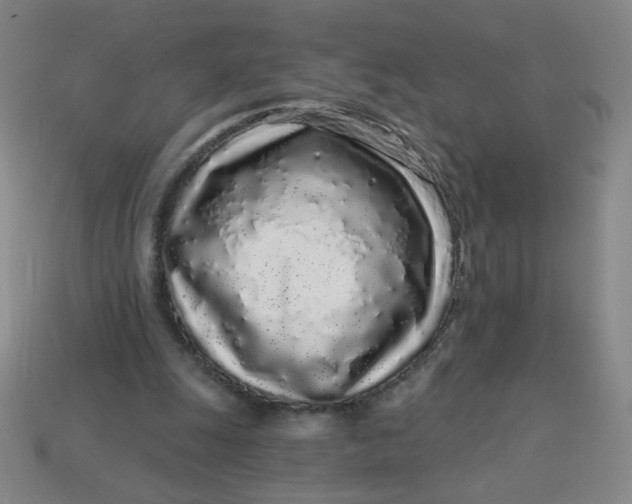 X0000113530247200910091228