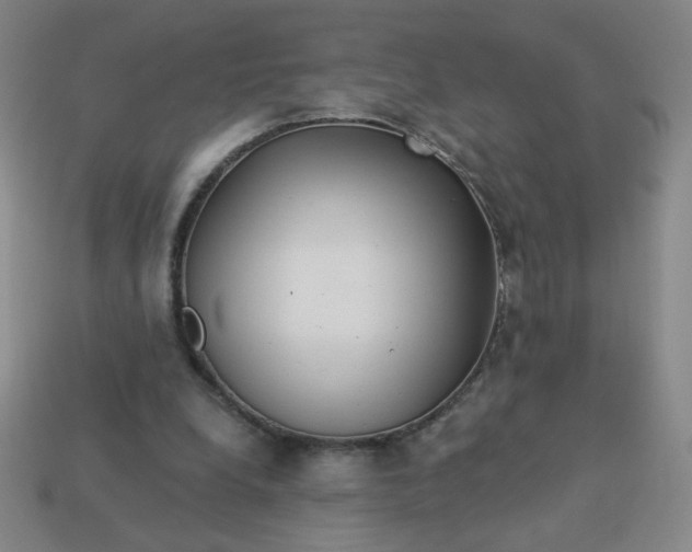 X0000113530248200910091228