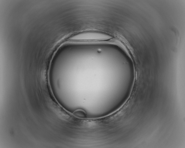 X0000113530249200910091228