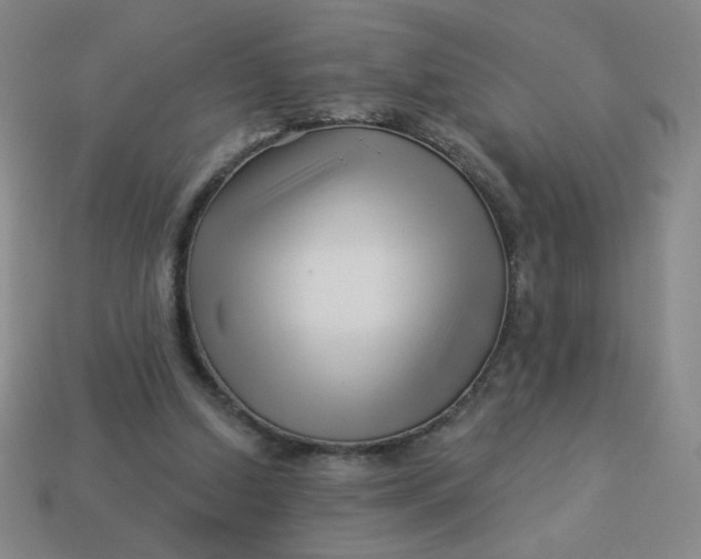 X0000113530250200910091228