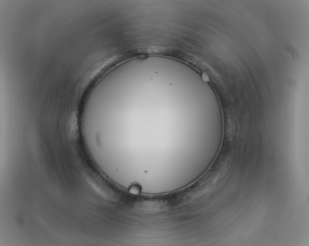 X0000113530251200910091228