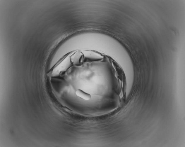 X0000113530252200910091229