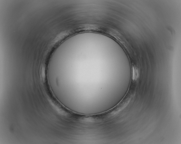 X0000113530253200910091229