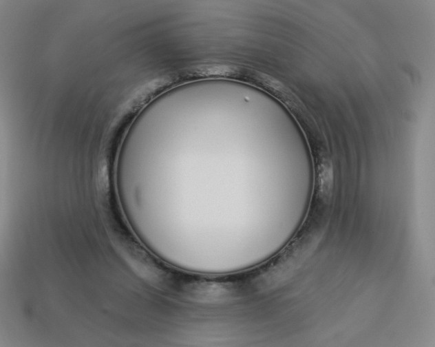 X0000113530254200910091229